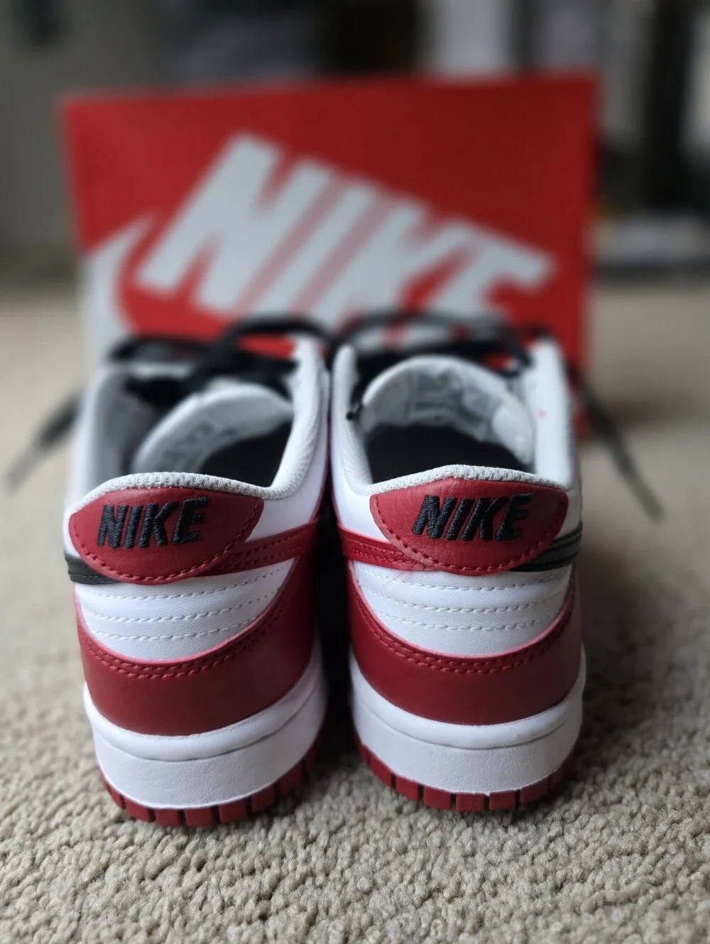 Nike Dunk Low (GS) 